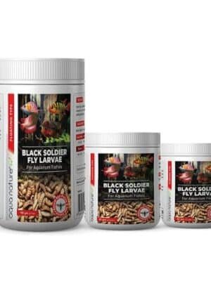 AquaNature High Protein Dried Black Soldier Fly Larvae Food for Arowana, Flowerhorn, Oscar and Other Carnivorous Aquarium Fish