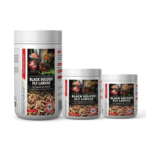 AquaNature High Protein Dried Black Soldier Fly Larvae Food for Arowana, Flowerhorn, Oscar and Other Carnivorous Aquarium Fish