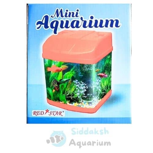 Mini Aquarium