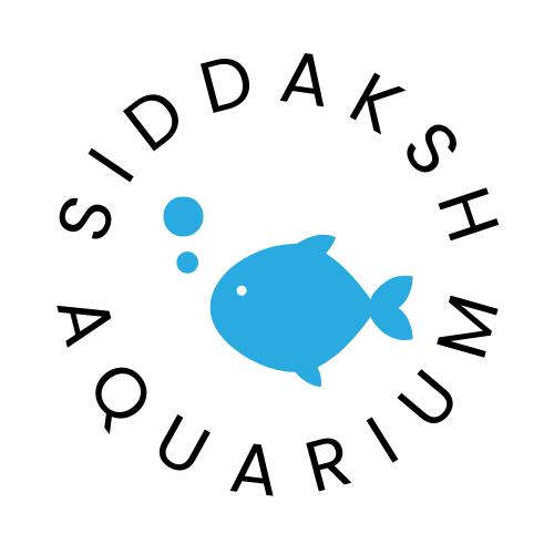 Smelly Aquarium