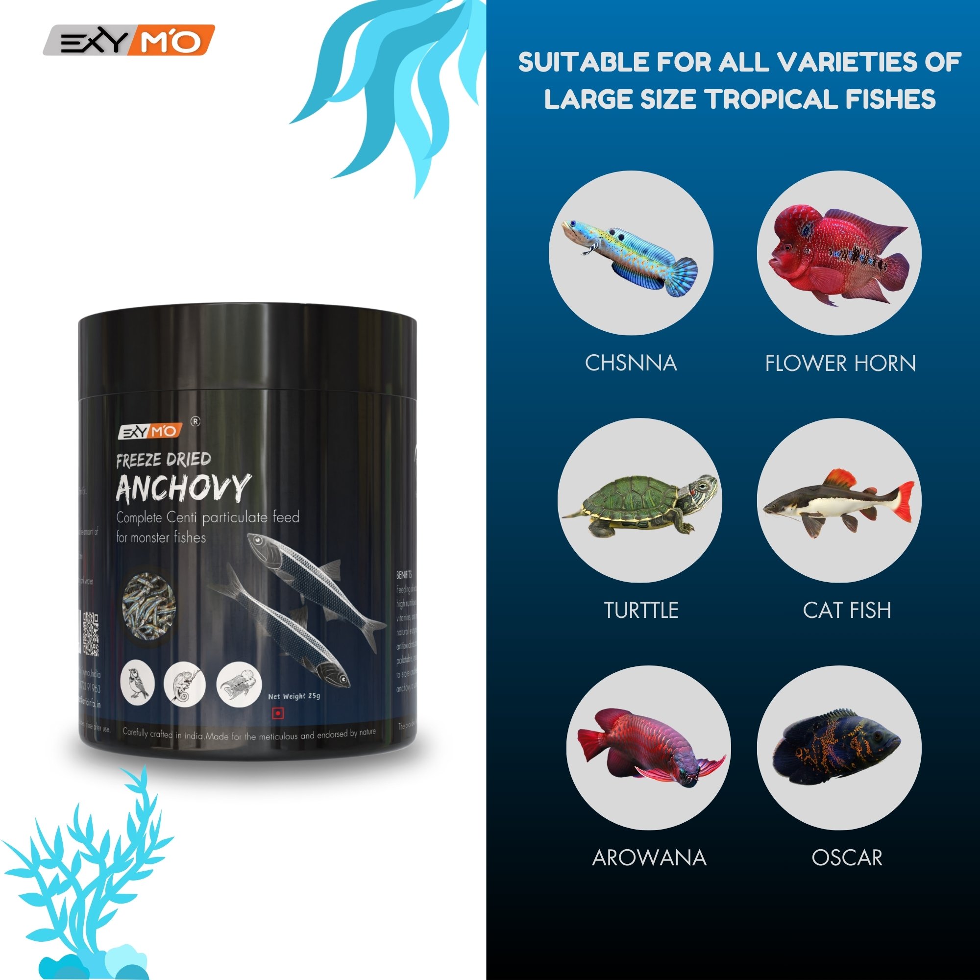 Exymo Premium Dried Anchovy 25g | Natural Sun-Dried Small Fish for Cooking - Image 5