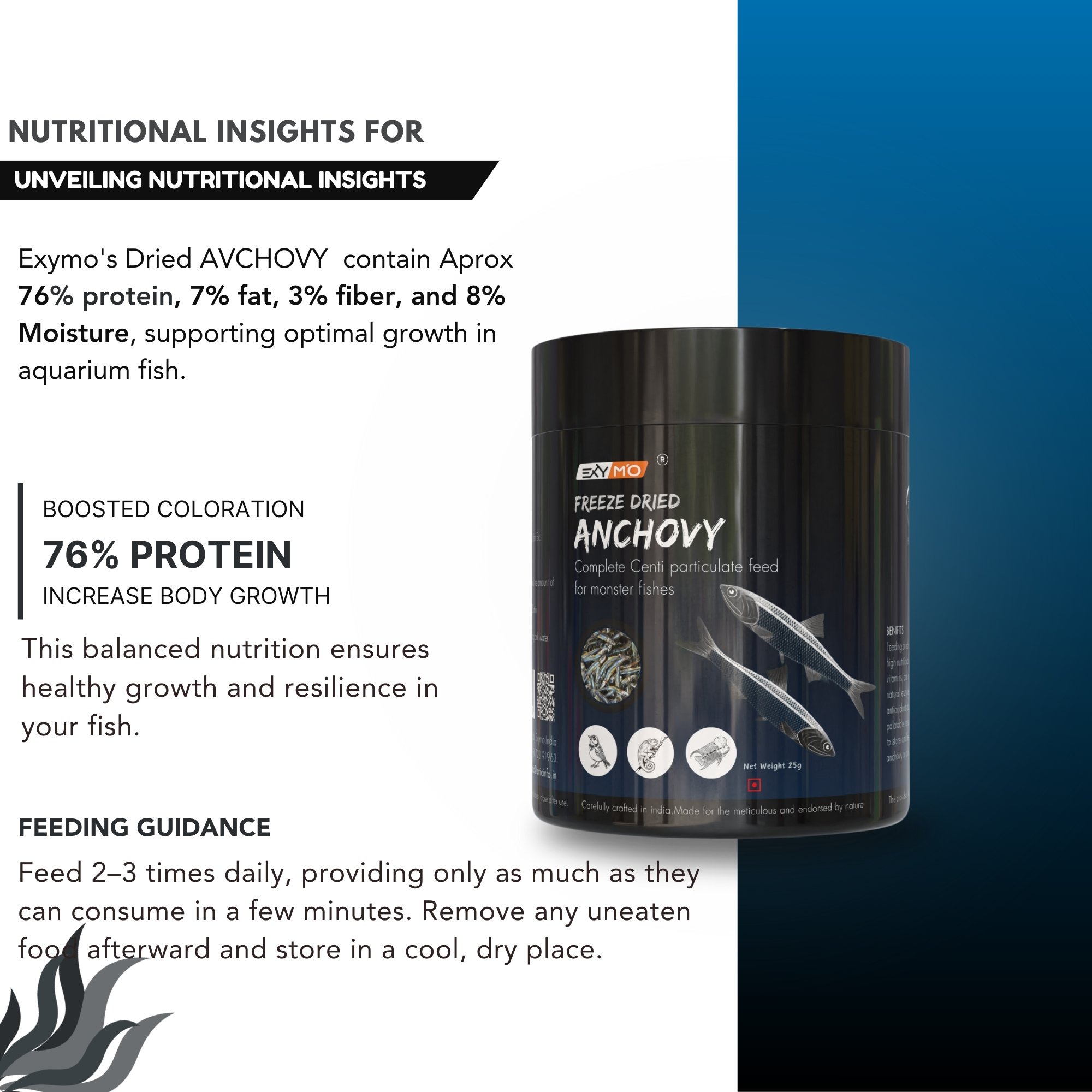 Exymo Premium Dried Anchovy 25g | Natural Sun-Dried Small Fish for Cooking - Image 4
