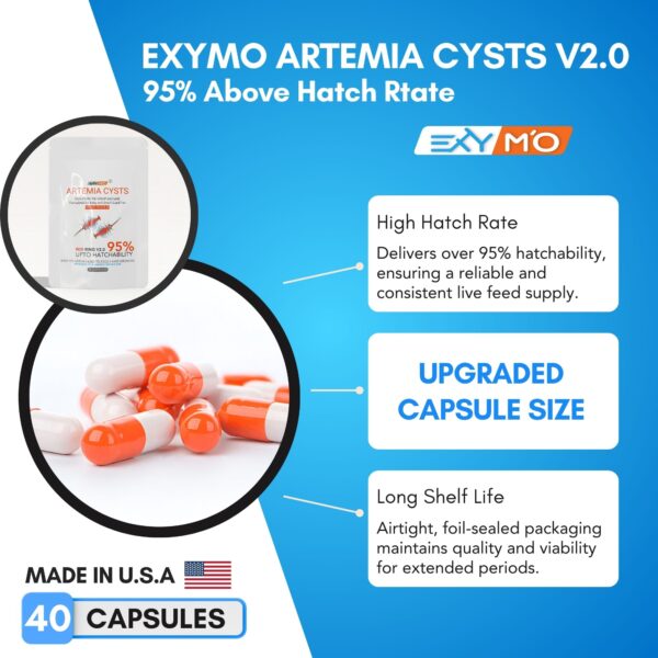 exymo artemia cysts 95 hatch rate capsule 40