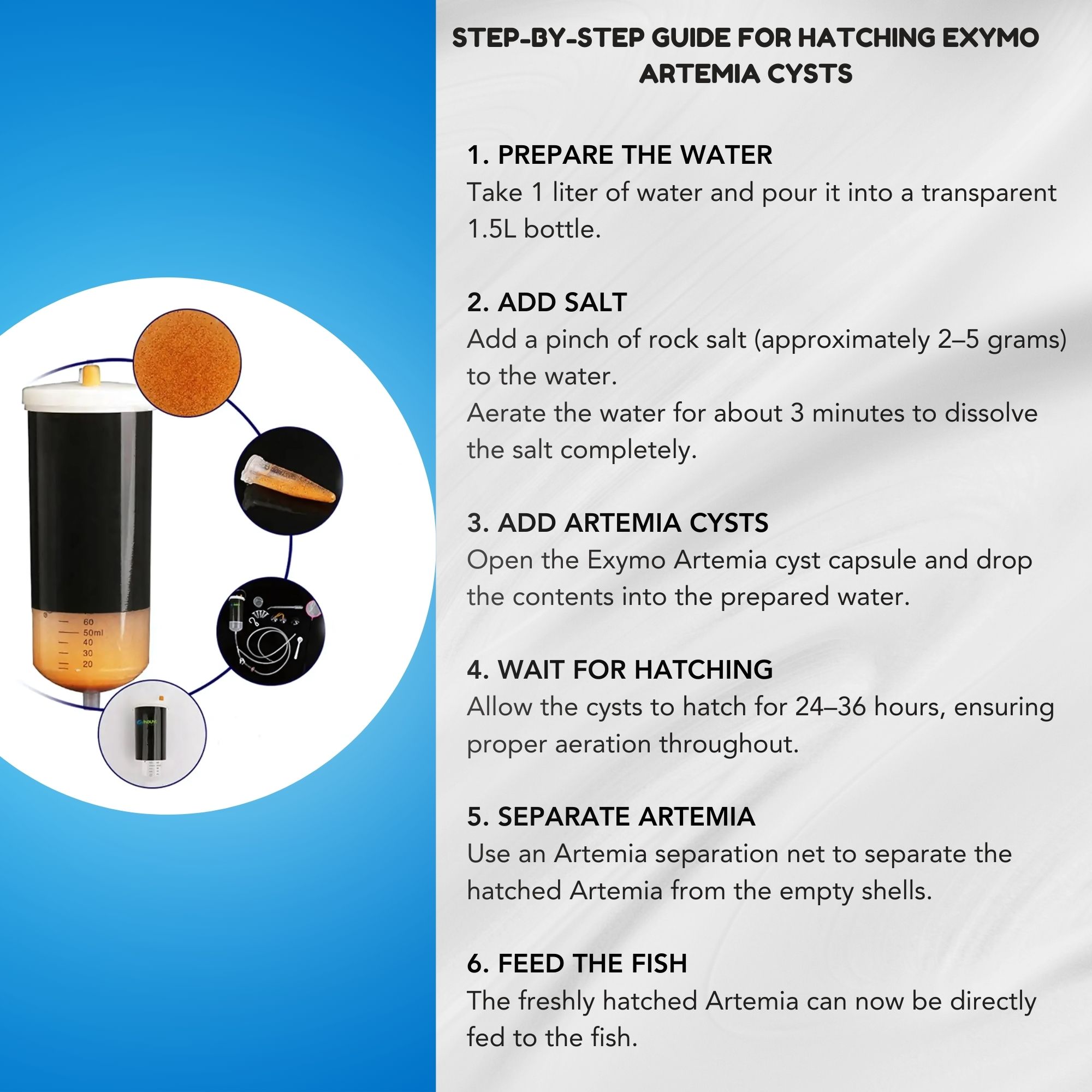 exymo artemia cysts 95 hatch rate capsule 40