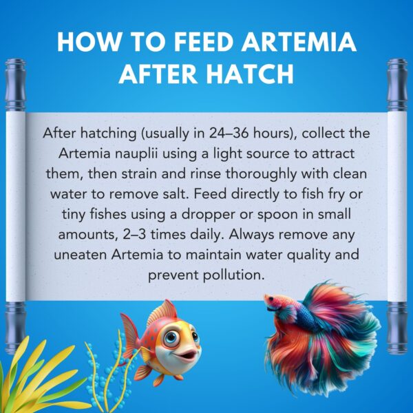 exymo artemia cysts 95 hatch rate capsule 40