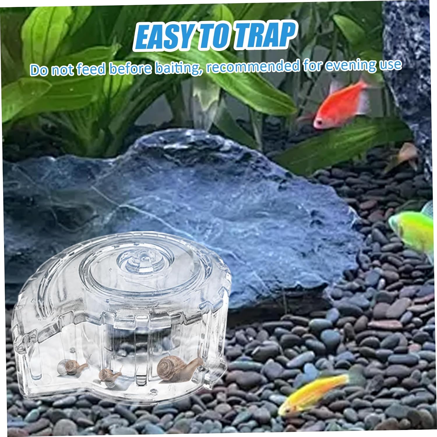 Dolphin Snail Catcher MC111 aquarium snail trap for fish tank cleaning